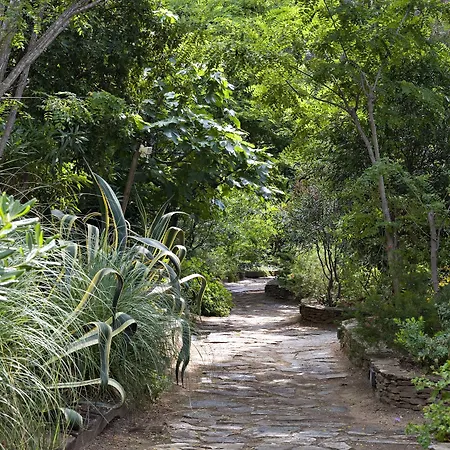 Saint-vincent Saint-Tropez