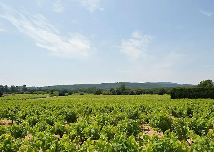 Saint-vincent מלון