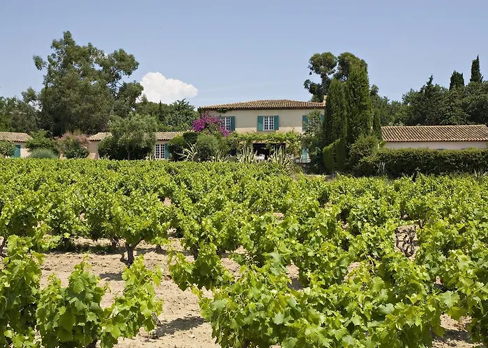 Saint-vincent מלון