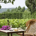Saint-vincent 3* سان تروبيه