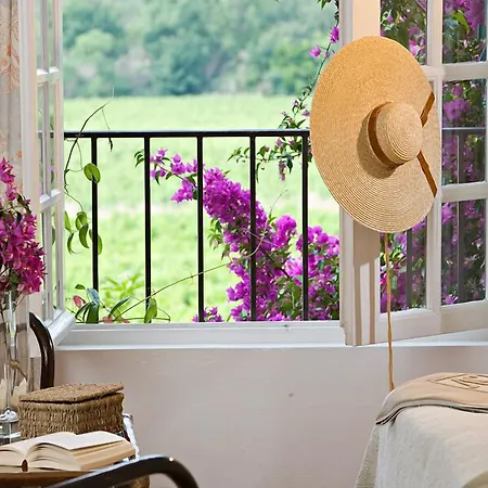 Saint-vincent サントロペ