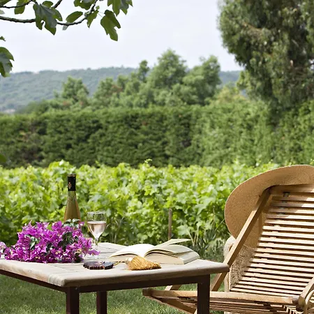 Saint-vincent 3* سان تروبيه
