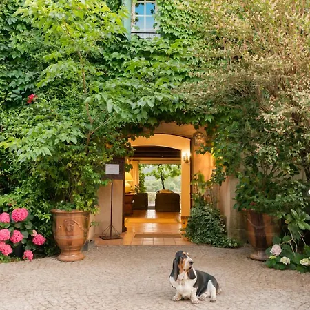 Saint-vincent Hotell