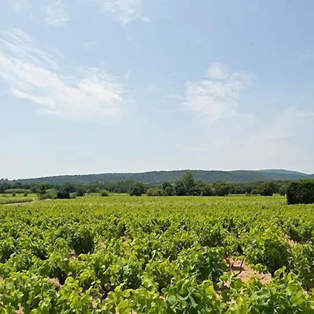 Saint-vincent Hotell