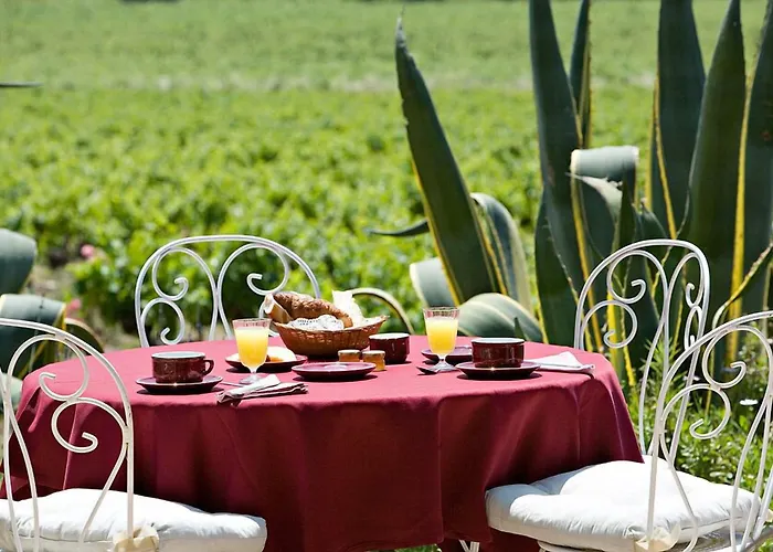 Saint-vincent 3* Ramatuelle